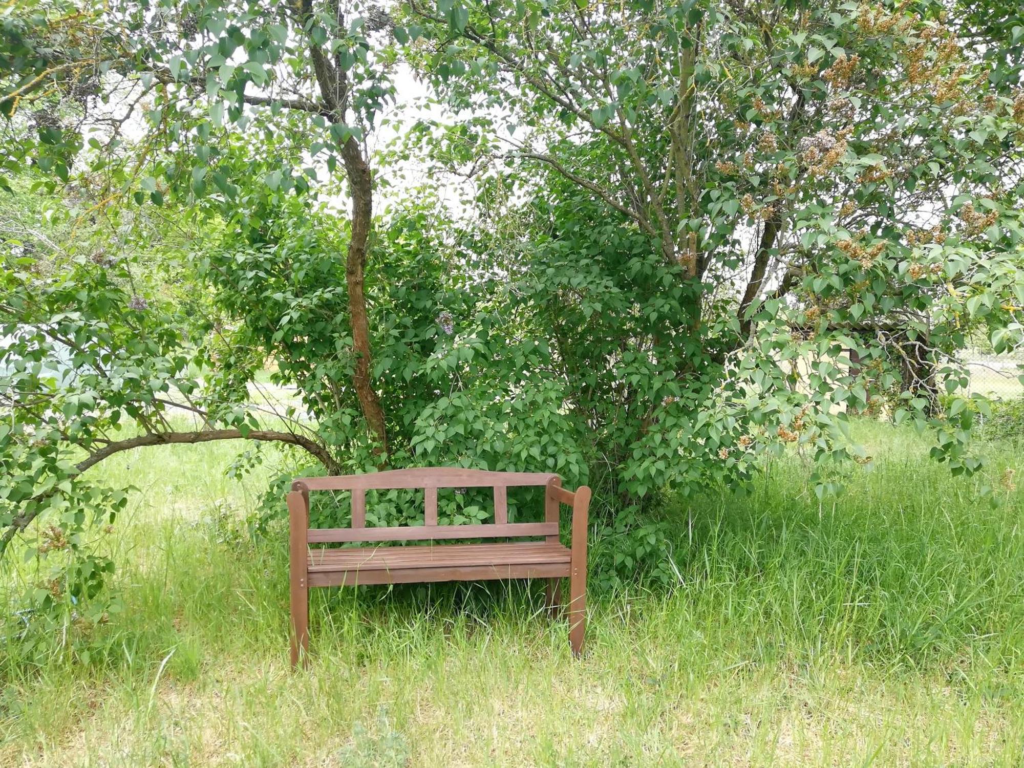 Ehemalige Bibliothek Apartment Fuer 2 Mit Kueche Kamin Netflix Parken Und Hofladen Steinhofel Esterno foto
